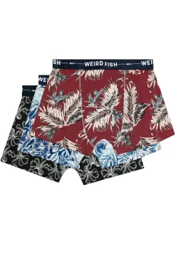 Weird Fish Socks & Underwear|Socks & Underwear|Ashridge Boxer Shorts 3 Pack Multi