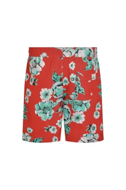Weird Fish Shorts|Swimshorts & Changing Robes|Belukha Printed Swim Shorts Retro Red