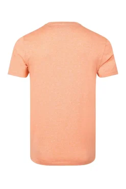 Weird Fish T-Shirts|Fished Organic Cotton Branded T-Shirt Pumpkin