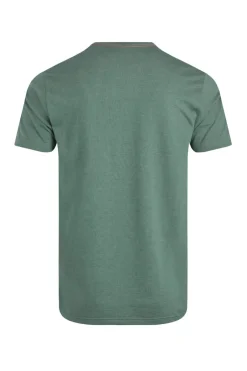 Weird Fish T-Shirts|Paddle Front Print Graphic T-Shirt Dusky Green
